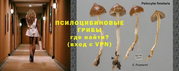 бутират Аркадак