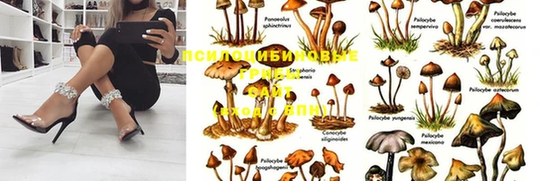 мет Армянск