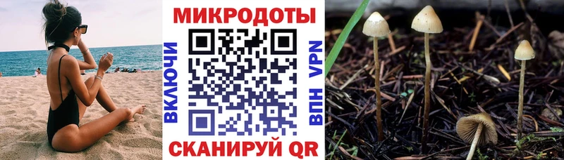 Галлюциногенные грибы прущие грибы  Горбатов 
