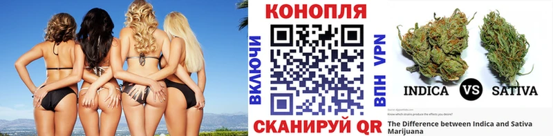 Канабис конопля  это Telegram  Горбатов  хочу наркоту 